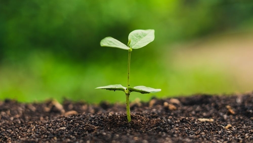 Последние новости компании о Австралия предупреждает: вводящие в заблуждение этикетки «компостируемый» вызывают массовое загрязнение пластиком